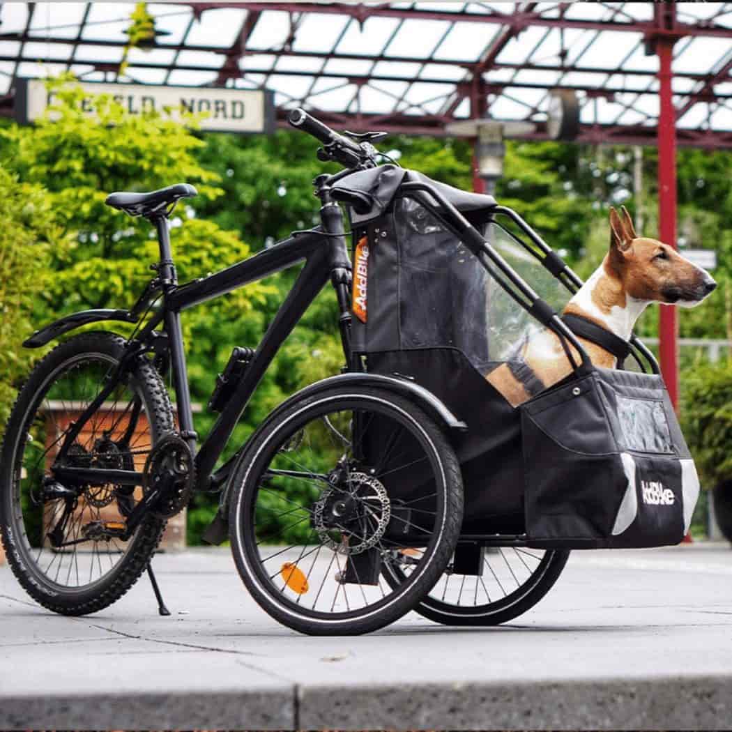 Bike Trailer for Dogs, Ideal for any Kind of Adventure - UK Online Bike Shop